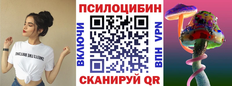 Псилоцибиновые грибы мицелий  Купить закладки  Звенигово 